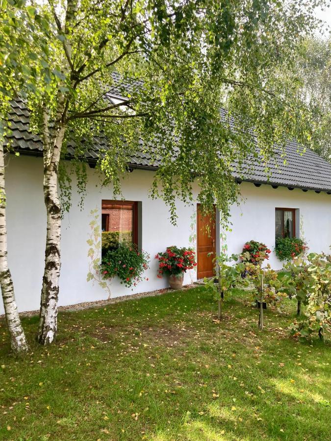 Winnica De Sas Krosnice Bagian luar foto